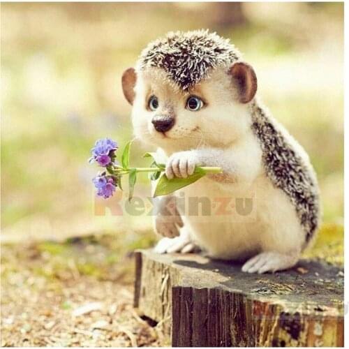 Kexinzu Full 5D DIY Square Diamond Painting"Animal Hedgehog"3D Embroidery Cross Stitch Rhinestone Mosaic Home Decor Gift W3sd