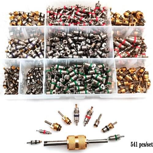 541pcs Car AC/Tire Valve Core Remover Tool Kits Set For Volkswagen,Peugeot,Chevrolet,Renault,Buick,Nissan,Toyota Honda R12,R134a