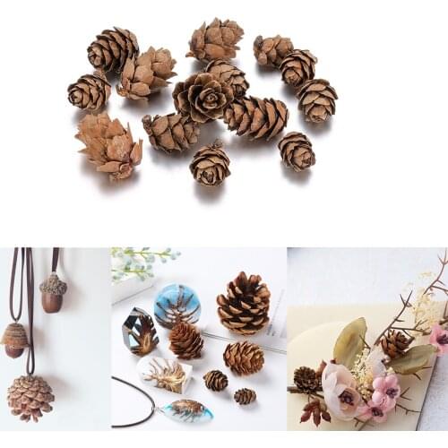 3 Size Natural Pine Cone Bauble For DIY Pendant Necklace Craft Decor Epoxy Resin Mold Filling Jewelry Making Component Wholesale