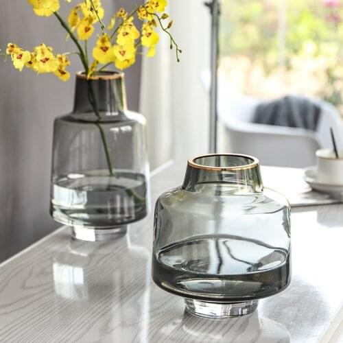 European Personality Glass Vase Creative Home Decoration Living Room Transparent Gold Flower Arrangement Hydroponic Decoration