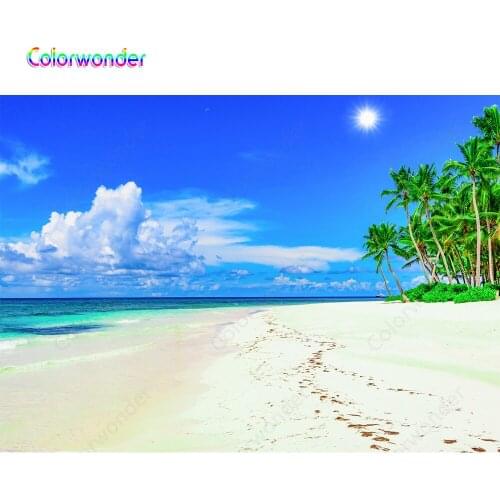 Holiday Beach Photographic Backgrounds White Clouds with Big Sun Green Palm Trees Hawaiian Style Backdrops for YouTube Photo