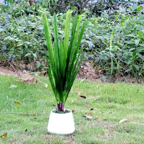 4pcs Artificial Gladioli Orchid Evergreen Plant Tree Wedding Home Garden Decor Green No Vase F399
