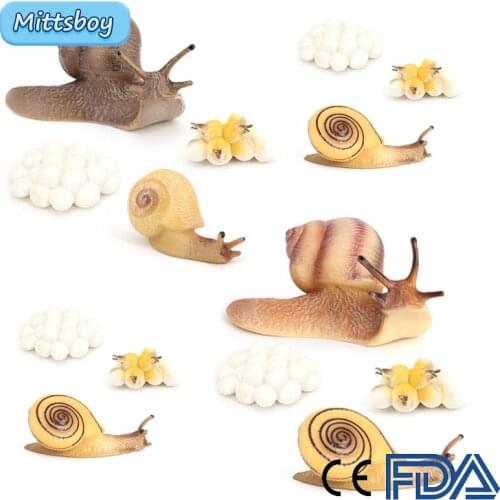 Hot DIY Growth Cycle Reptiles Snails PVC Actions Models Toy Figures Statics Model Educational toys for Children Ornaments Gifts