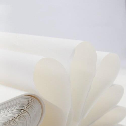 100pcs Xuan Paper Chinese Raw Rice Paper For Chinese Painting Flower and Bird Landscape Calligraphy Paper Handicraft Supplies