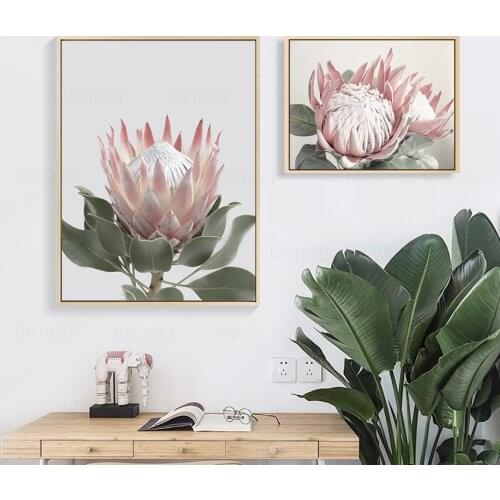 Beautiful Protea King Flowers Poster Print Canvas Painting Wall Art Gallery Pictures For Living Room Bedroom Home Decor