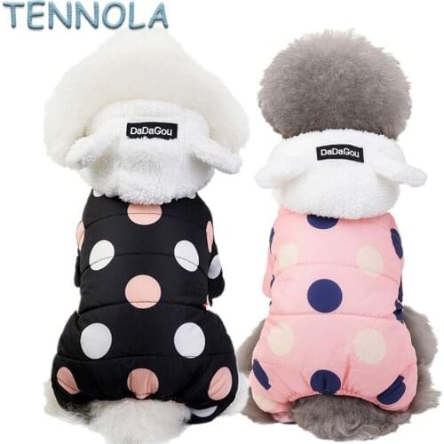 TENNOLA Clothes And Footwear For Dogs