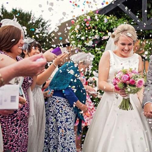 2Pcs Mixed Rose Gold Pink Push-Pop Confetti Wedding Bridal Push Poppers Confetti For Boby Shower Birthday Party Decor