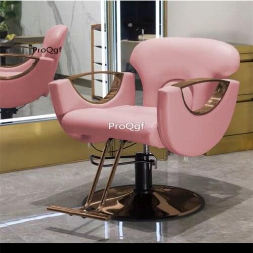 Prodgf 1 Set ins lovely day Romantic Salon Chair