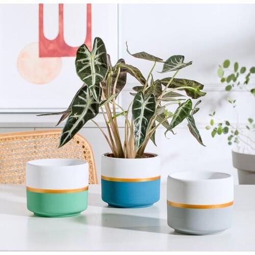 Nordic Splicing Double Color White Flower Pot Ceramic Flower Vase Succulent Planter Green Plants Flowerpot With Tray