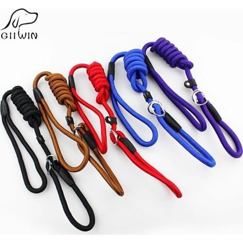 Dog Collar Leash Set Training for Small Medium Large Pet Dog Cat Nylon Leash Collar Pet Supplies Products YS0012