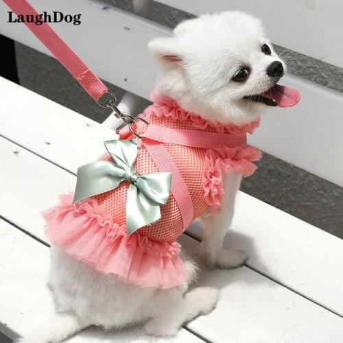 Breathable Mesh Dog Dresses Harness Leash Suit For Small Medium Dogs Thin breathable Costume Puppy Bow-Knot Skirt With Dog Chain