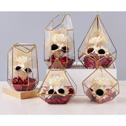 Nordic Decoration Home Glass Vase Glass Cover Dried Flower Micro Landscape Flower Vase Crafts Home Decoration Accessories Modern