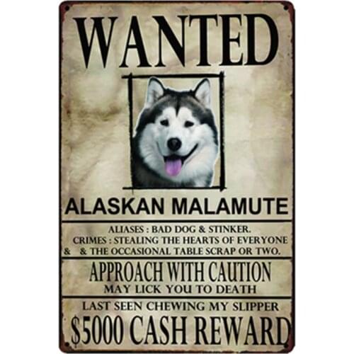 [ Kelly66 ] Alasken Malamute Dogs Wanied Metal Sign Tin Poster Home Decor Bar Wall Art Painting 20*30 CM Size y-2083