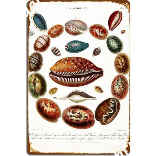 Vintage British Botanical Illustration Conchology Poster Metal Plaque Create Wall Plaque Pub Garage Tin Sign Poster