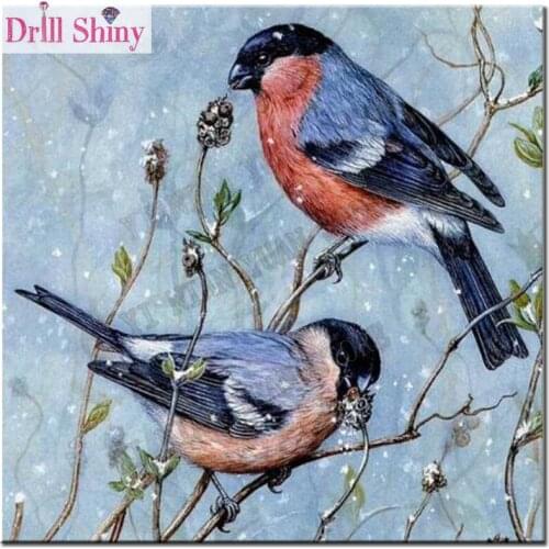 5D DIY Diamond Painting All kinds of birds Diamond Embroidery Cross Stitch Rhinestone Mosaic Painting Full Drill Square Diamond