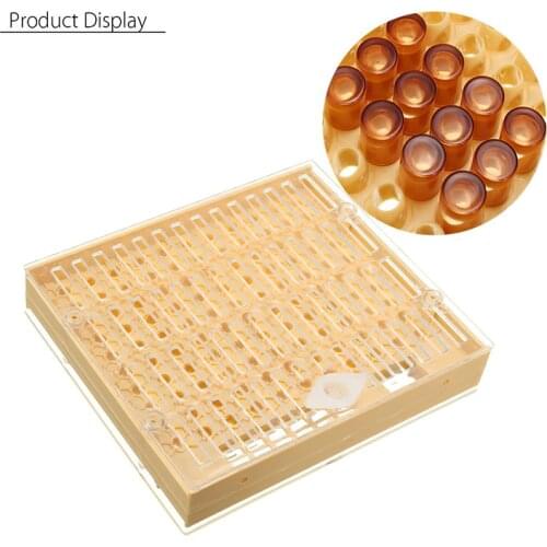 Bee queen king rearing kit system cages bees tools set supplier tool equipment base celular cells cell beekeeping sale