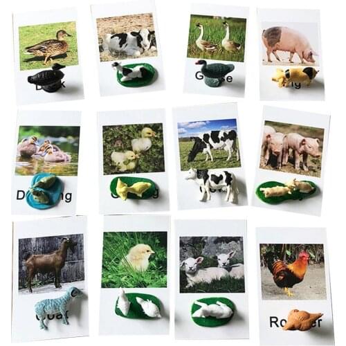 24pcs Baby Montessori Learning Language Materials Poultry/Sea Animal Match Cards Montessori Educational Toys For Children