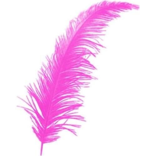 Bird Feather Wedding Candy Tambourine Def Ornament Material Fuchsia 100 Pcs хна для мехенди henna bride veil welon