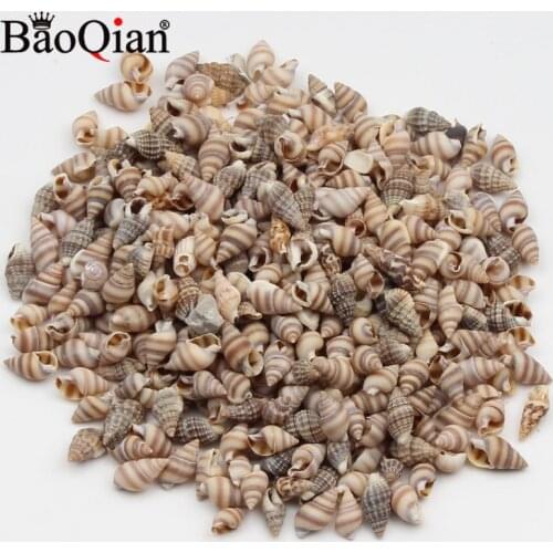 20 Gram 5-15mm Mini Flower Conch Natural Sea Shells Coquillage Beach Decor Craft Diy Home Marine Fish Tank Conch Embellishment