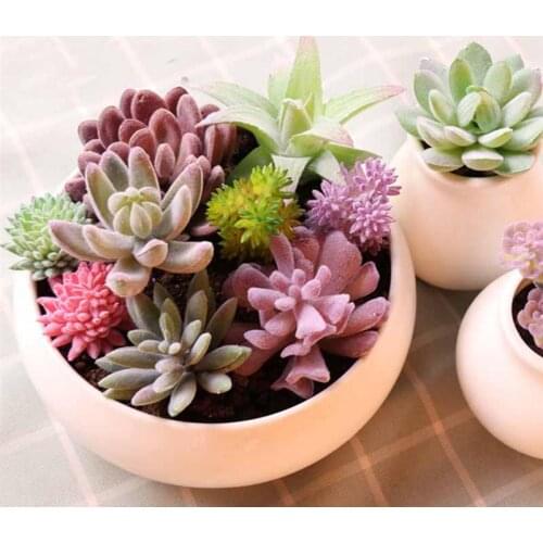 Simulation Plants Aloe Artificial Succulent Cactus Landscape Fake Lotus Faux Flower DIY Creative DIY Accessories Home Decor