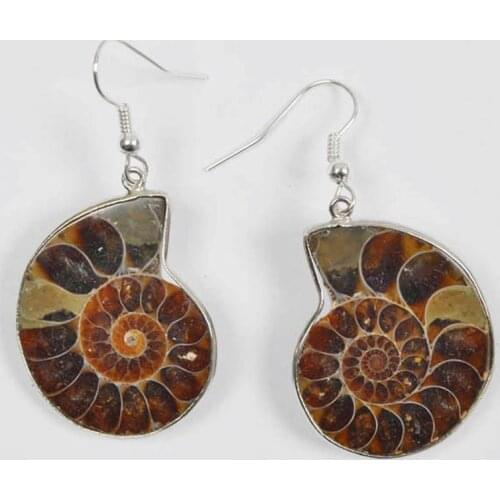 Natural Ammonite Fossi Stone Bead Dangle GEM Earrings Jewelry T134
