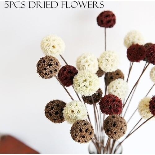 5pcs/lot Dried Flowers Natural Decorative Home Decoration DIY Crafting Accessories Dried Fruit Rustic Decor Wedding Decorations