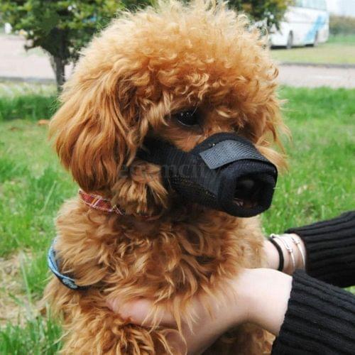 3 Sizes 1 PC Outdoor Breathable Dog Muzzles Adjustable Muzzle Bark Bite Mesh Mouth Stop Chewing Dog Supplies Pet Accessories