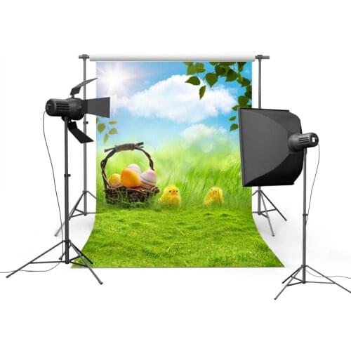 Little chick grass photography backgrounds vinyl newborns photo backdrops of photographic studio accessories photophone GE-027