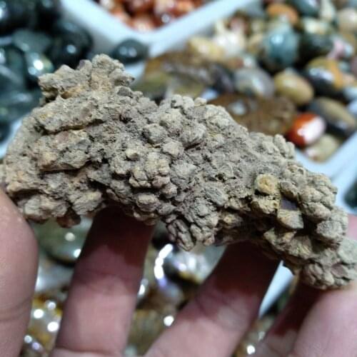 100g Natural stones Rare dinosaur excrement shit fossil Madagascar Dung fossils collections popular science teaching