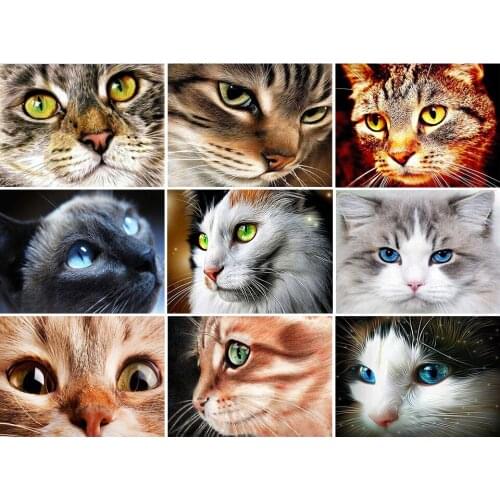 5D DIY Diamond Painting Cat Face Set Full Drill Square Embroidery Mosaic Animal Art Picture of Rhinestones Home Decoration Gift