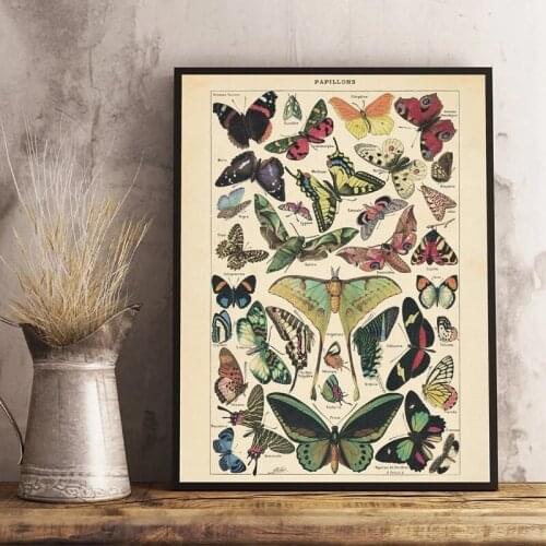 Butterfly Retro Canvas Painting Posters Prints Insect Kind Nature Education Wall Art Pictures for Living Room Home Decor Cuadro