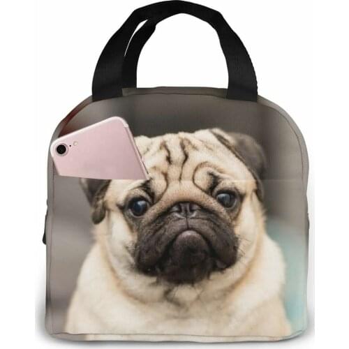 Cute Pug Dog Have Question Cooler Lunch Box Portable Insulated Lunch Bag Thermal Food Picnic Lunch Bags