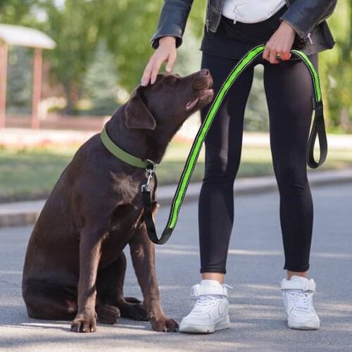 Reflective Dog Leash Heavy Duty Rope Leash with 2 Padded Handle Pet Training Traffic Control Safety for Large Medium Small Dogs