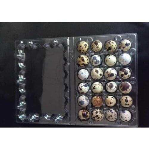 24 Holes Quail Eggs Container Plastic Boxes 500pcs/lot
