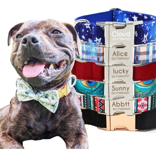 Name tag dog collar cat personalized braided designer luxury pet collars cosas para perros Big puppy Engrave phone number