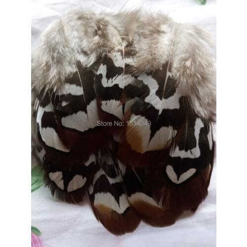 Wholesale 20pcs high quality natural Wild pheasant feathers 5-10cm / 2-4inch variety of decorative diy