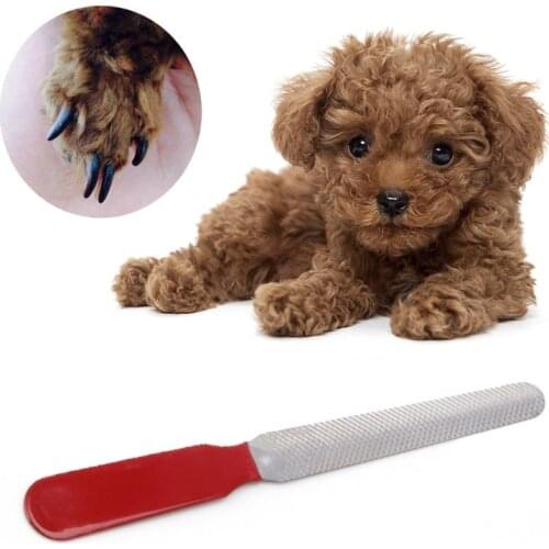Dog Cat Stainless Steel Professional Nail Toe Manicure File Pet Grooming Tool