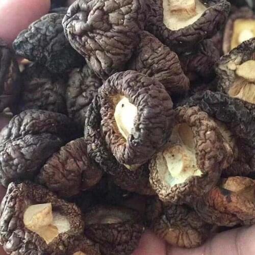 Champignon Lentinus Edodes XiangGu,Dried Shiitake Mushroom,Shii-take,Mushrooms