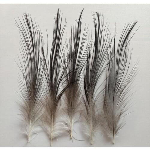 Wholesale Hot 100pcs Beautiful Natural Black Heron Silk Feathers 2-8 inches/5-20 cm Wedding Party Headdress Hats Decoration