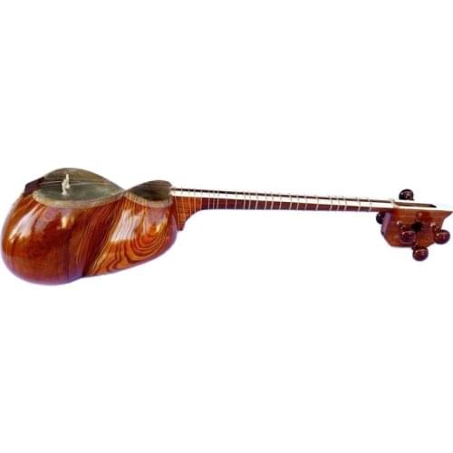 Shahriyari Lutes