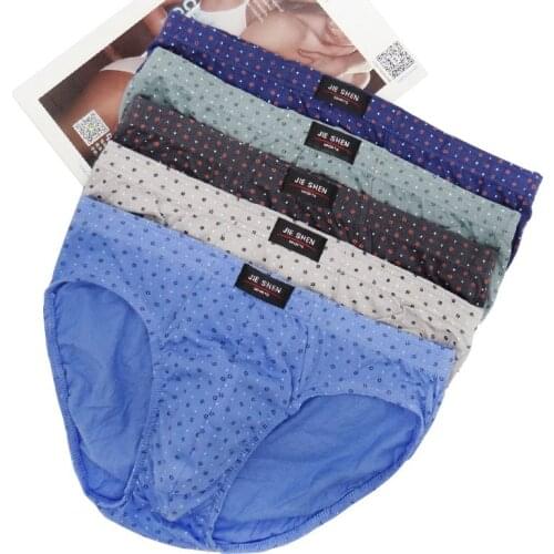 Men Briefs 5 pcs/lot Cotton Underpants Casual Dot Underwear for Male plus size men briefs underwear L-4XL cueca masculina