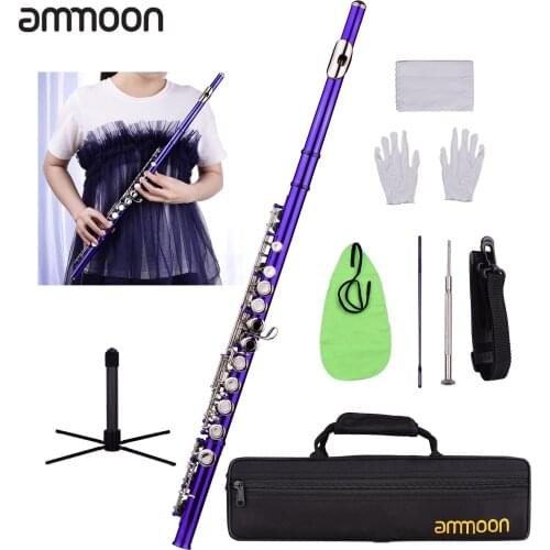 Ammoon Closed Hole C Flute 16 Keys Cupronickel Nickel-plated Wind Instrument with Carry Case Flute Stand Gloves Cleaning Cloth