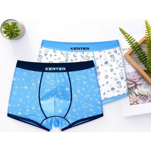 Cartoon Striped Shorts Panties 2 Pcs/lot Cotton Kids Underwear Teenager Baby Boxer Briefs Boys Underwear Children panty 4-14y
