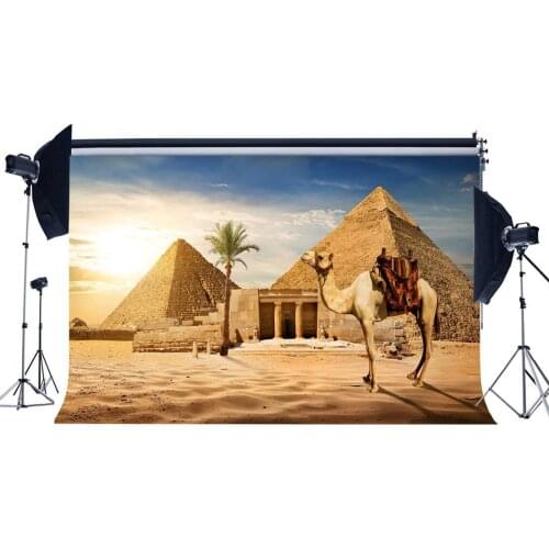 Photography Backdrop Desert Egypt Pyramid Coconut Tree Sunshine Blue Sky Nature Backdrops Seamless