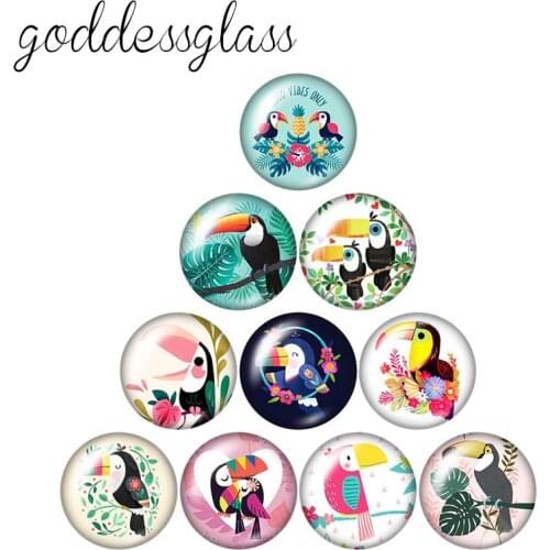 Lovely Bird Ramphastos toco 10pcs mixed 12mm/18mm/20mm/25mm Round photo glass cabochon demo flat back Making findings ZB1099