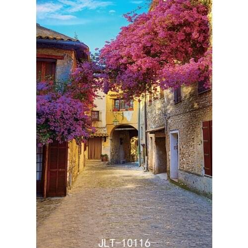 Red Trees Old House Street Portrait Vinyl Photographic Background for Party Baby Shower Child Backdrop Photo Studio