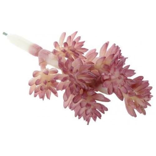 Artificial Succulent Sedum Hispanicu Foliage Plastic Plant Decor Autumn