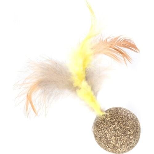 GBTW Products For Cats