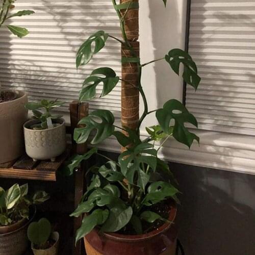 Extendable Climbing Plant Coir Totem Rod Support Gardening Coconut Palm Stick