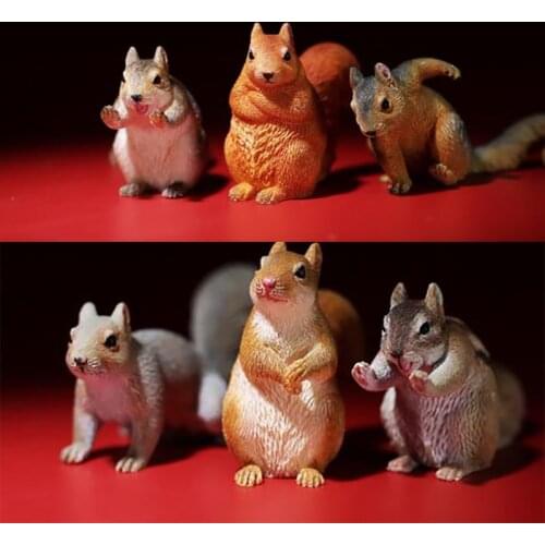 1/6 MR.Z MRZ044 Animal Model Squirrell Resin Animal Sciuridae Collectible Scene Props Toys In Stock